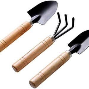 Garden Tools Set-Garden Rake Trowel, Small Succulent Plant Transplant Trowel Set,3 Piece Mini Premium Gardening Hand Kit,1 Narrow Shovel,1 Wide Shovel and 1 Garden Tools Set Gift for Older and Kids